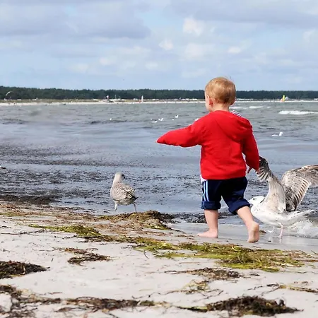 Bernsteinwind An Der Seebruecke * Zingst