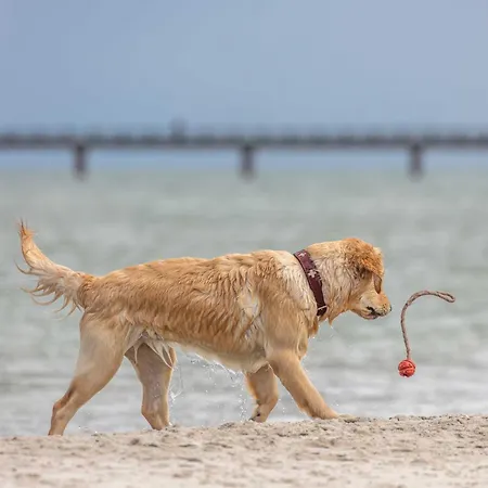 Appartamento Bernsteinwind An Der Seebruecke *