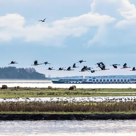 Appartamento Bernsteinwind An Der Seebruecke