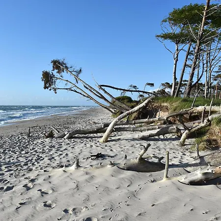 Appartamento Bernsteinwind An Der Seebruecke
